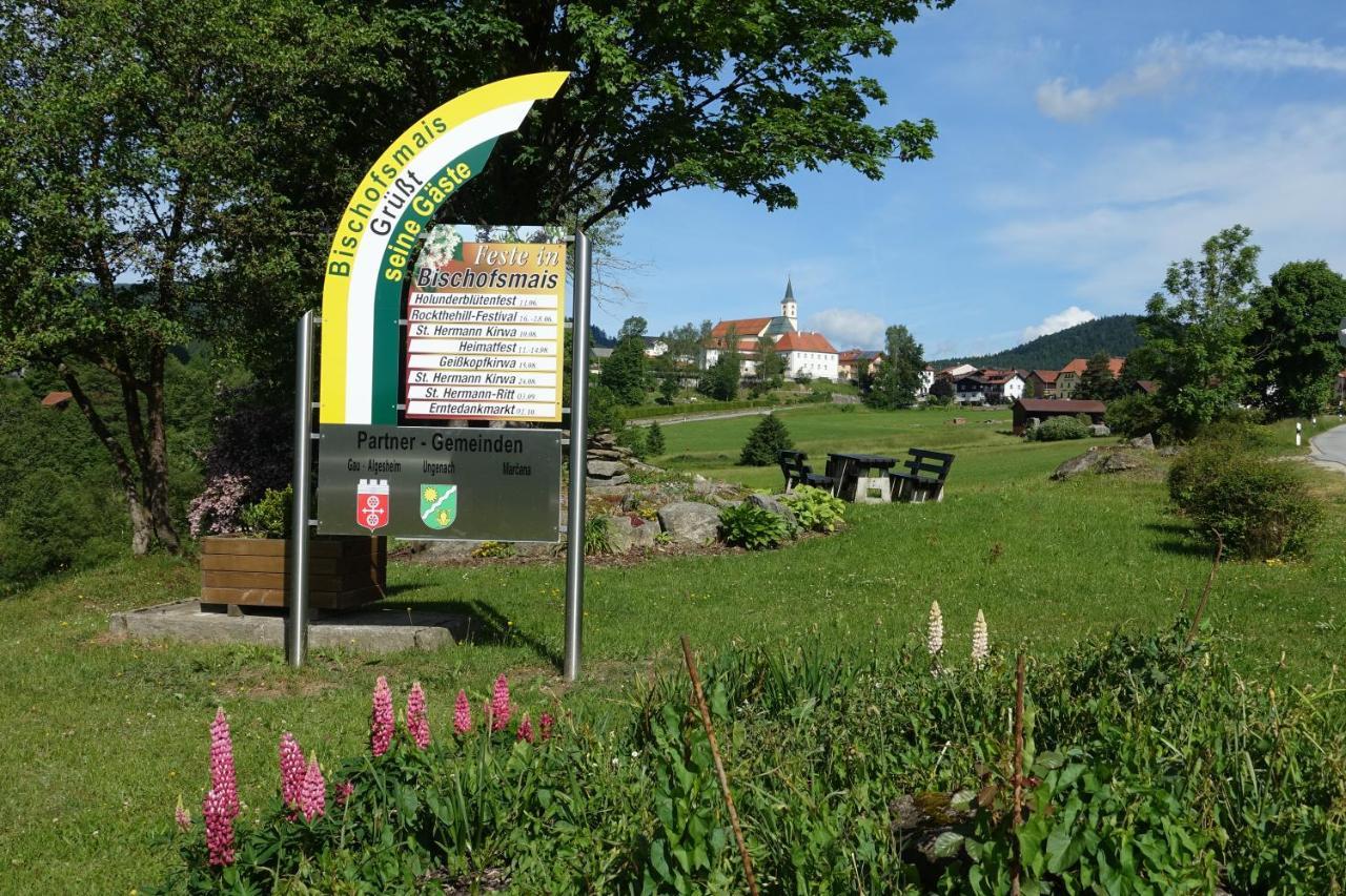 Am Hermannsbachl Bischofsmais Exterior foto